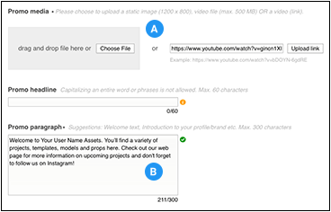 Promo 部分:A - Promo media、B - Promo paragraph